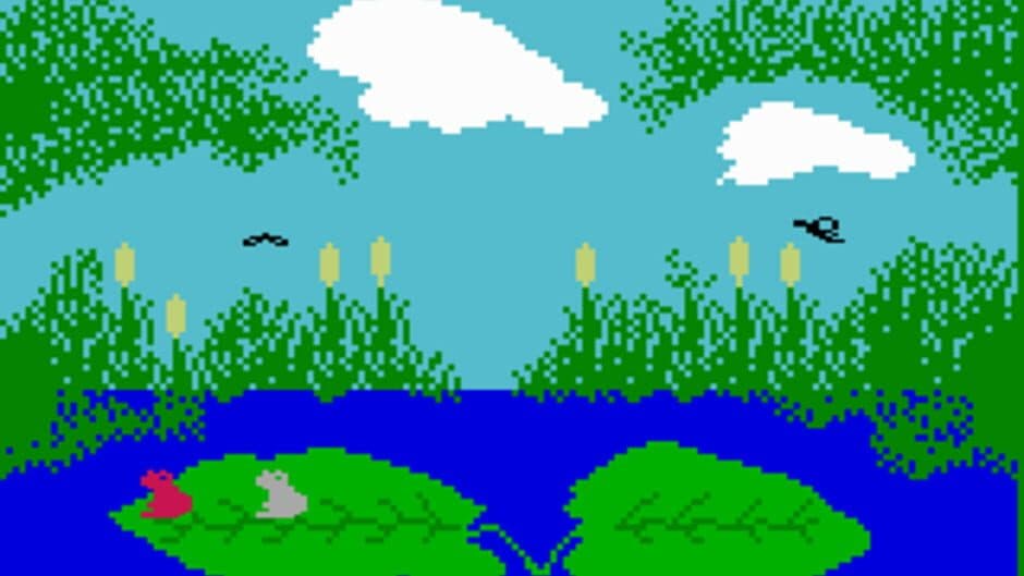 Frog Bog screenshot