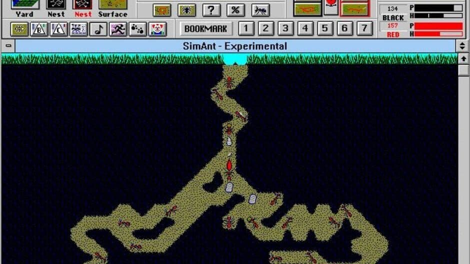 SimAnt screenshot