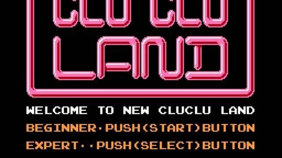 Clu Clu Land D screenshot
