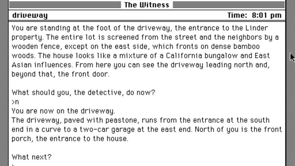 The Witness screenshot