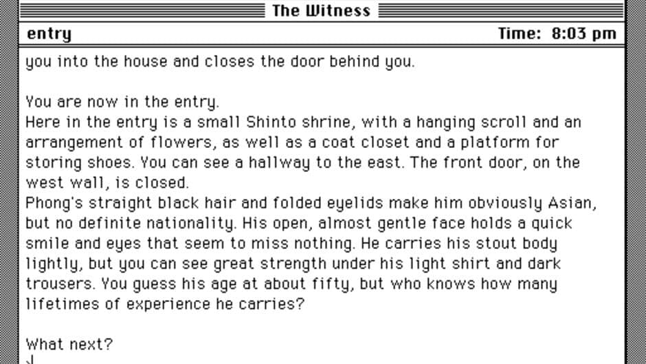 The Witness screenshot