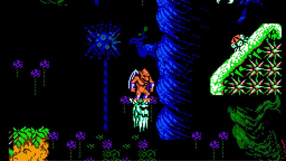 Gargoyle's Quest II screenshot