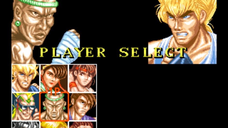 Fighter's History screenshot