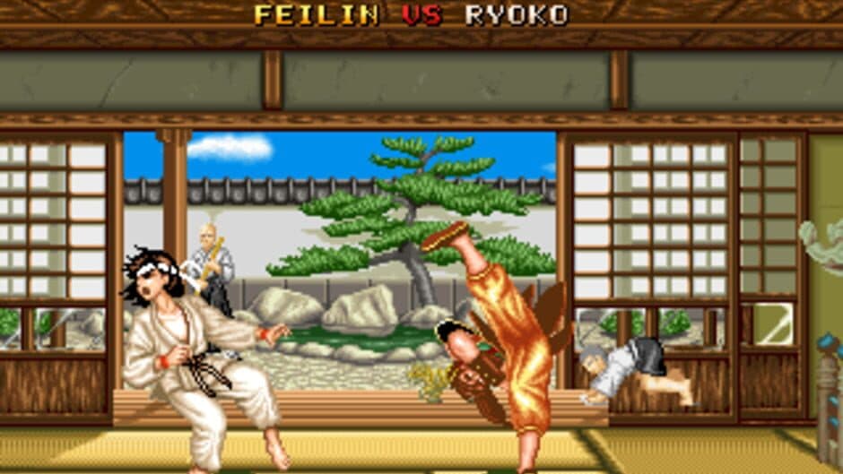 Fighter's History screenshot