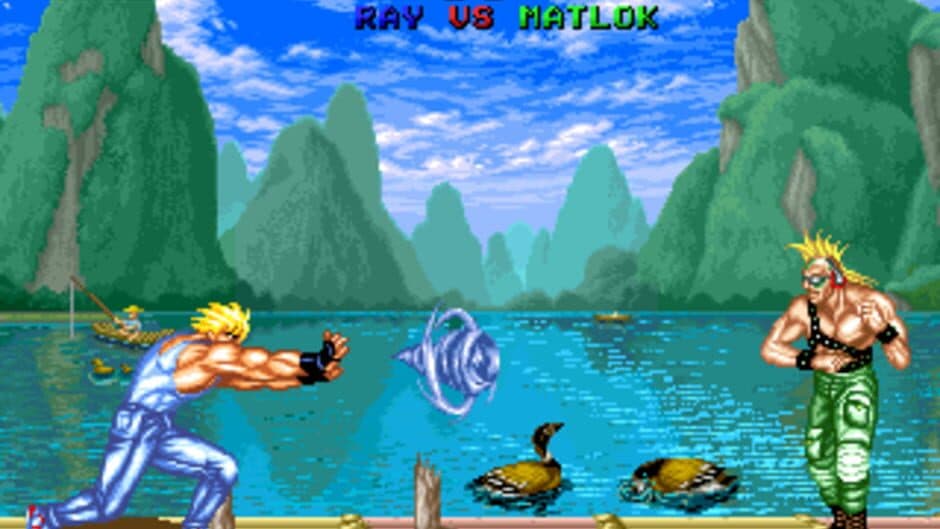 Fighter's History screenshot