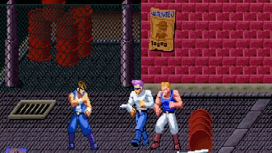 Double Dragon screenshot
