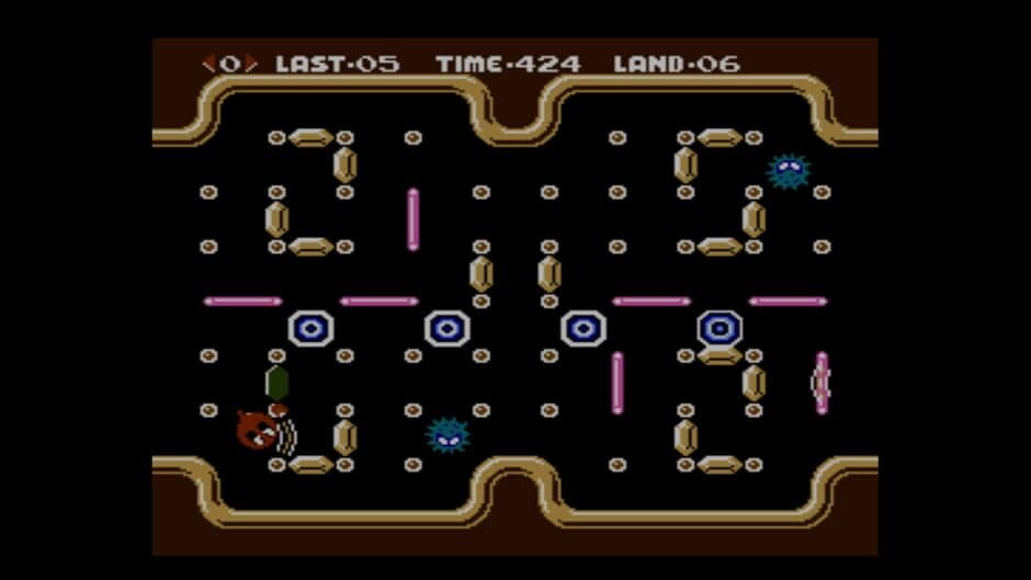 Clu Clu Land D screenshot