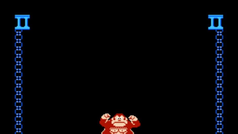 Donkey Kong Jr. screenshot