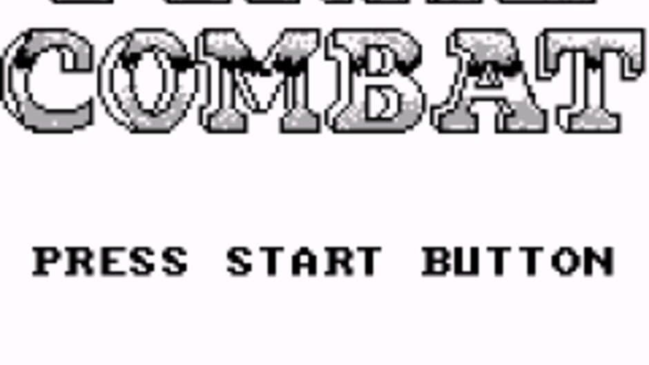 Final Combat screenshot