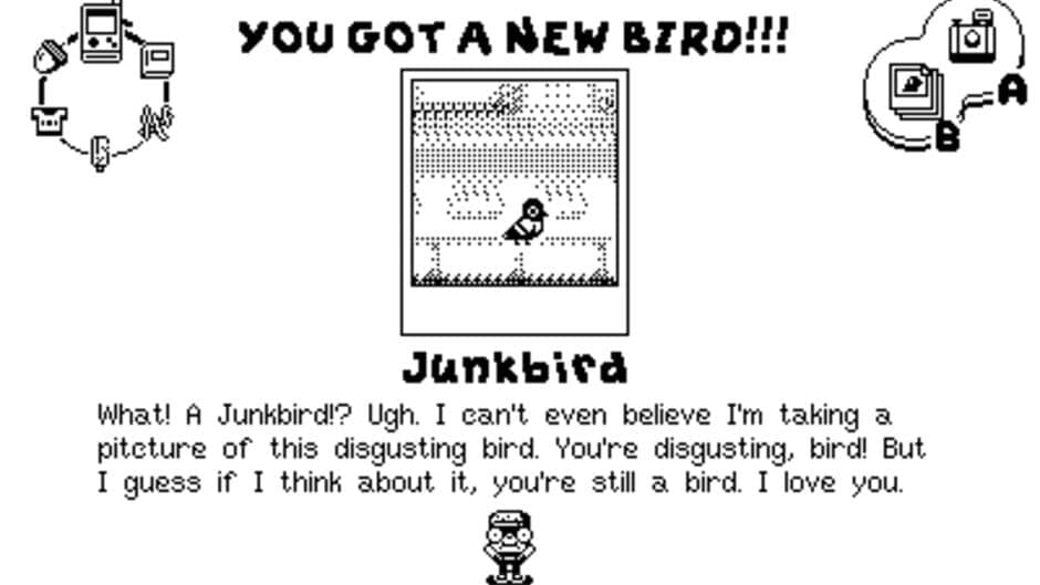 Casual Birder screenshot