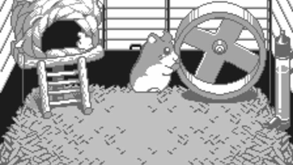 Dokodemo Hamster screenshot