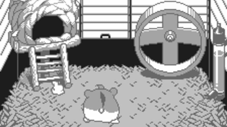 Dokodemo Hamster screenshot