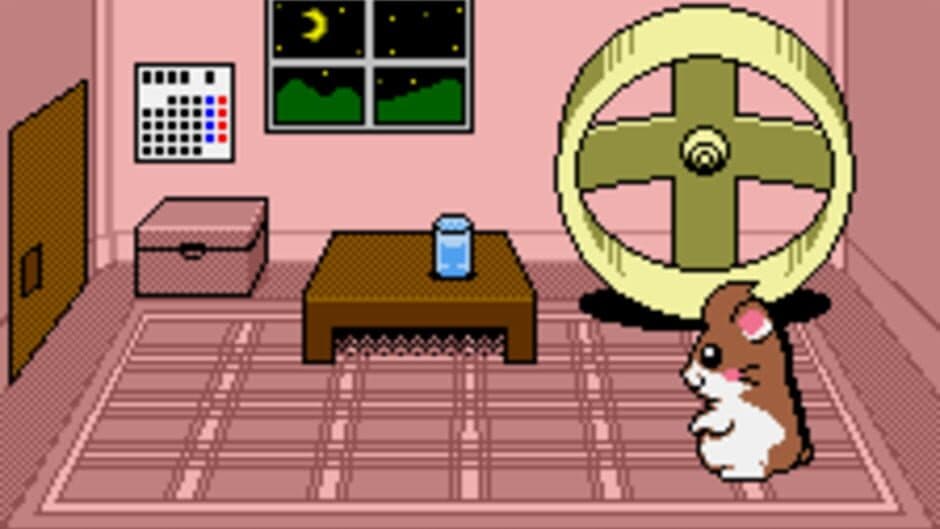 Dokodemo Hamster 3: O Dekake Safuran screenshot
