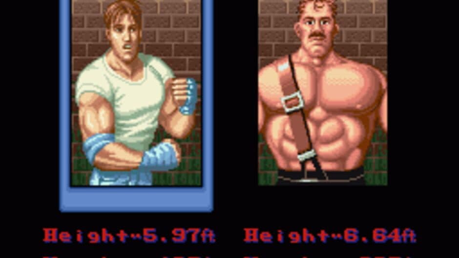 Final Fight screenshot