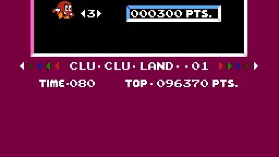 Vs. Clu Clu Land screenshot