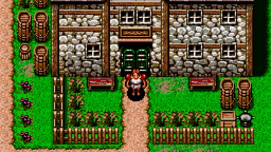 Brain Lord screenshot