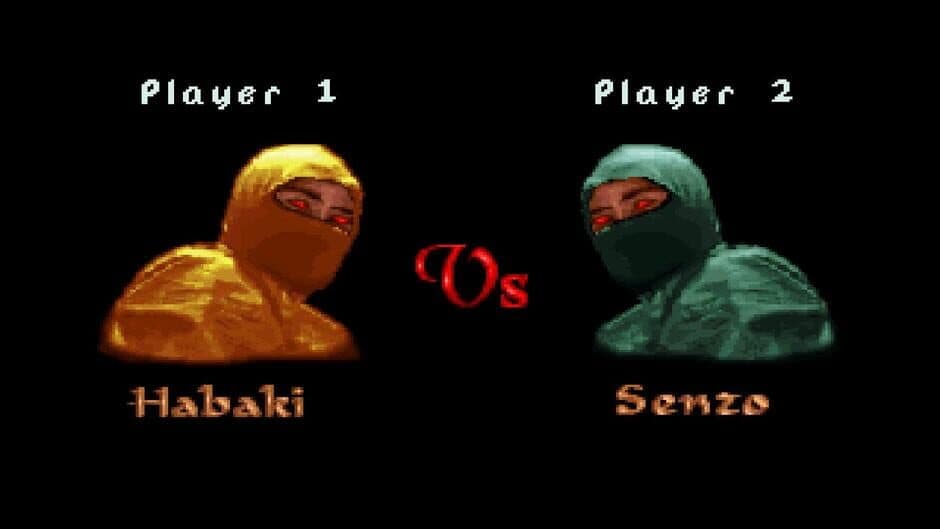 Kasumi Ninja screenshot