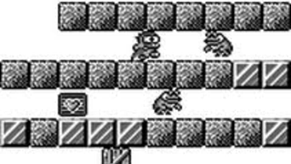 Dino Bibo screenshot