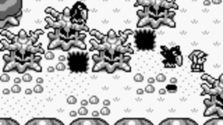 The Legend of Zelda: Link's Awakening screenshot