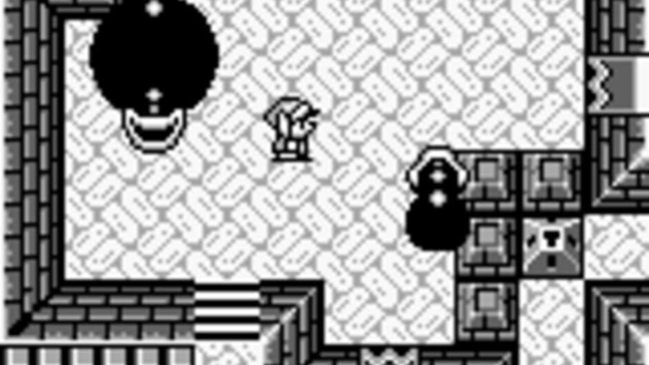 The Legend of Zelda: Link's Awakening screenshot