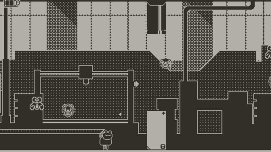 Cranky Frog screenshot