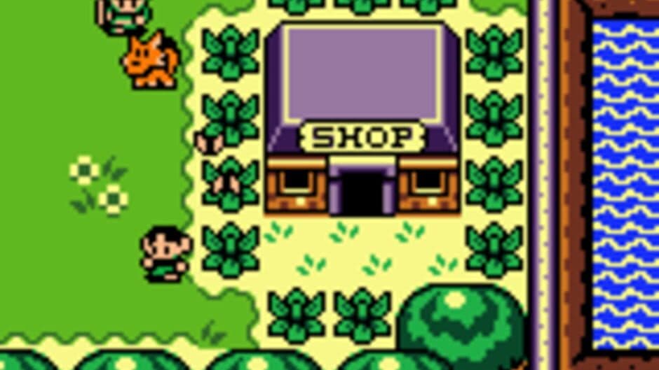 The Legend of Zelda: Link's Awakening DX screenshot