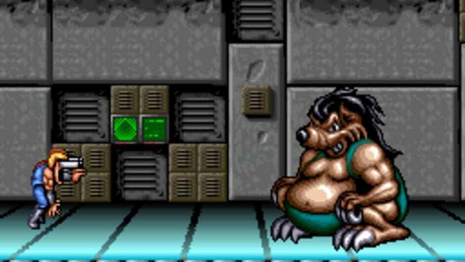 Battletoads / Double Dragon screenshot
