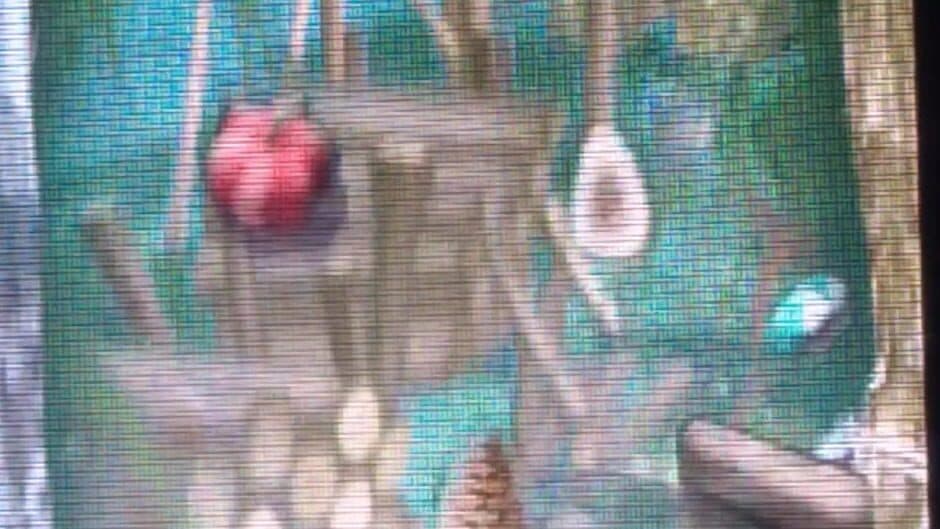 Mile High Pinball screenshot