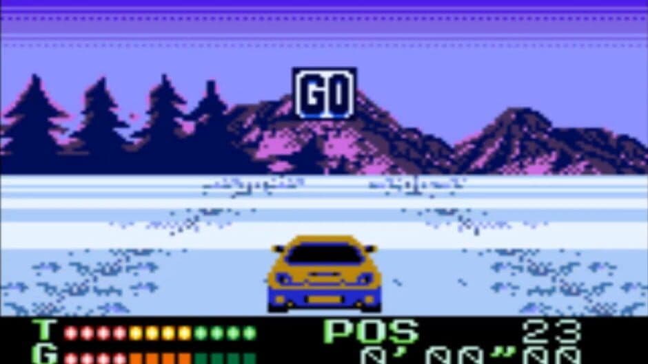 International Rally screenshot