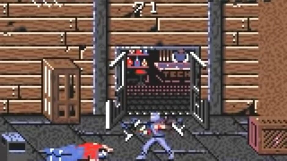 Ninja Gaiden screenshot