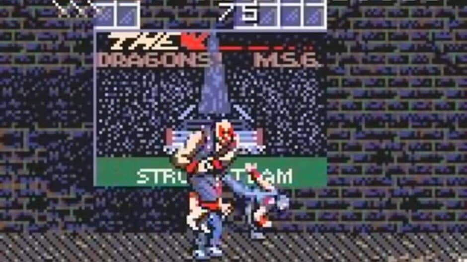 Ninja Gaiden screenshot