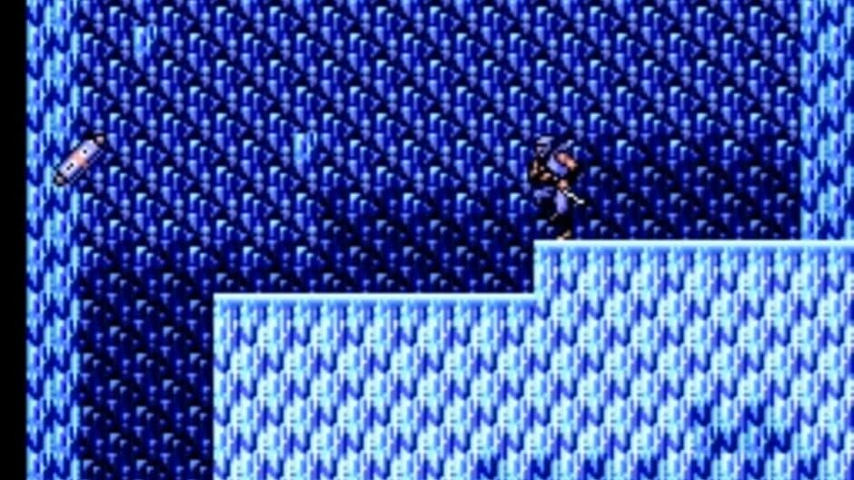 Ninja Gaiden screenshot