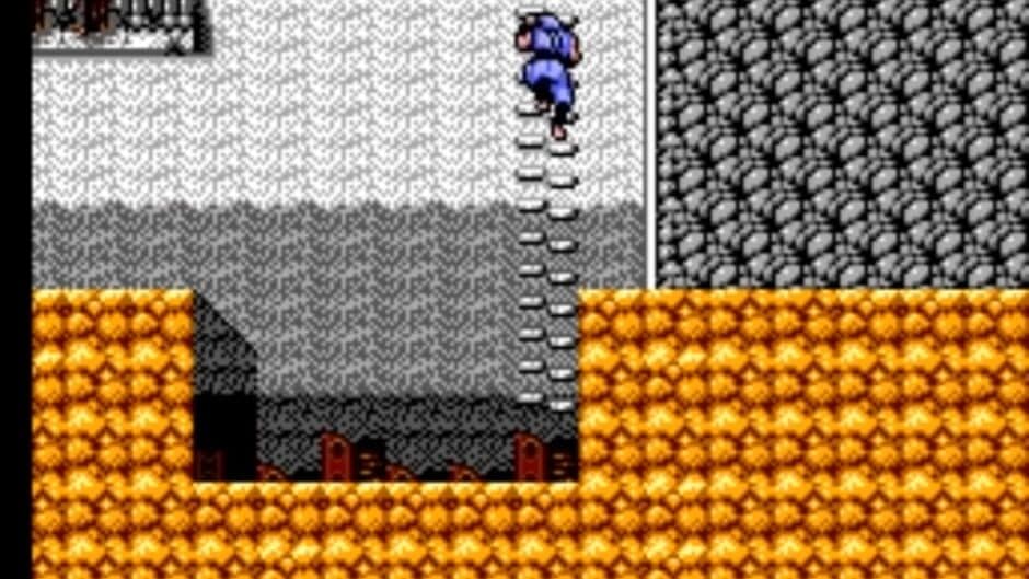 Ninja Gaiden screenshot
