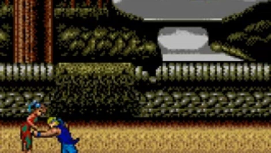 Double Dragon screenshot