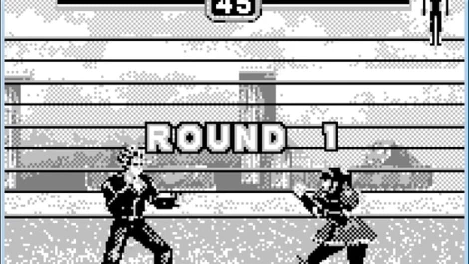 Fighters Megamix screenshot