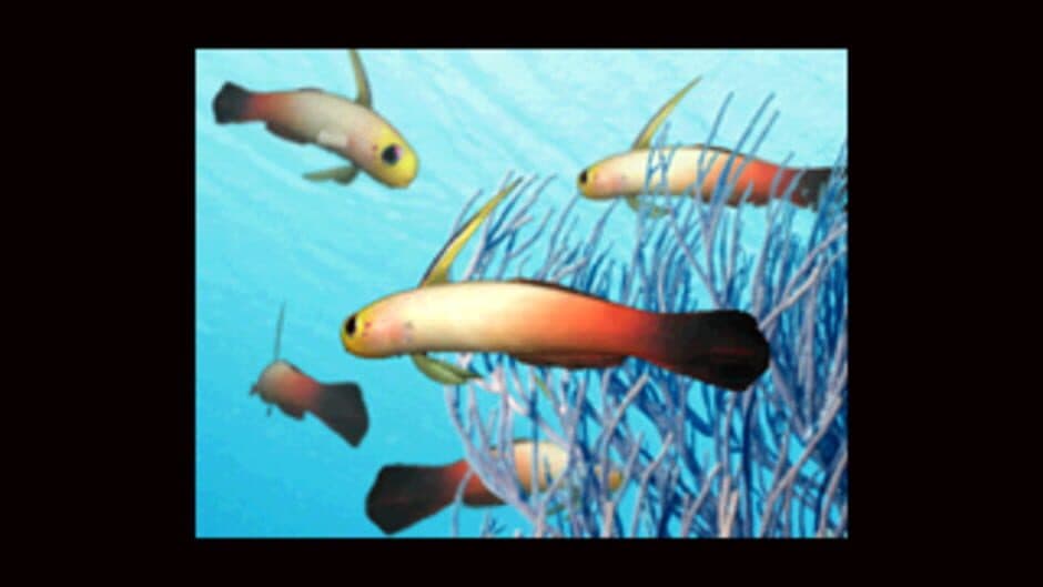 Aqua-World: Umi Monogatari screenshot