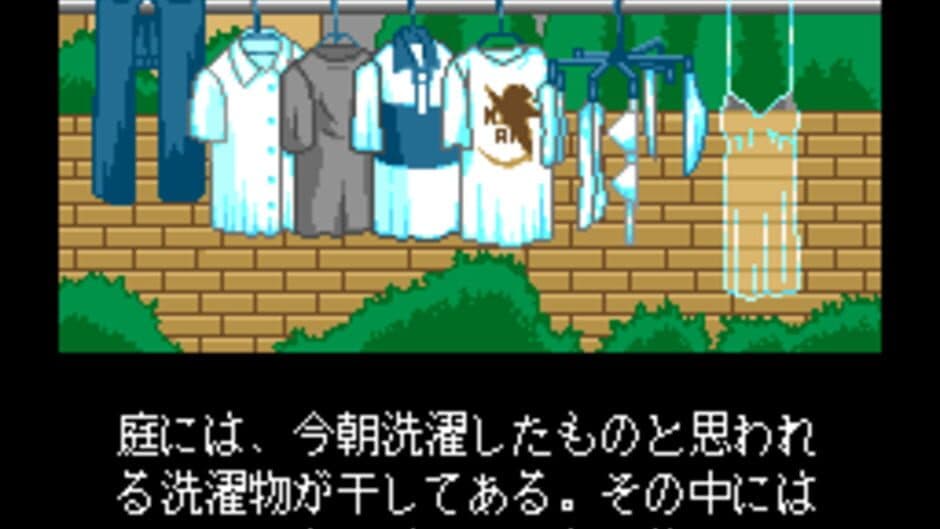 Shinsetsu Shiawase Usagi F: Yuujou Yori mo Aiyoku screenshot