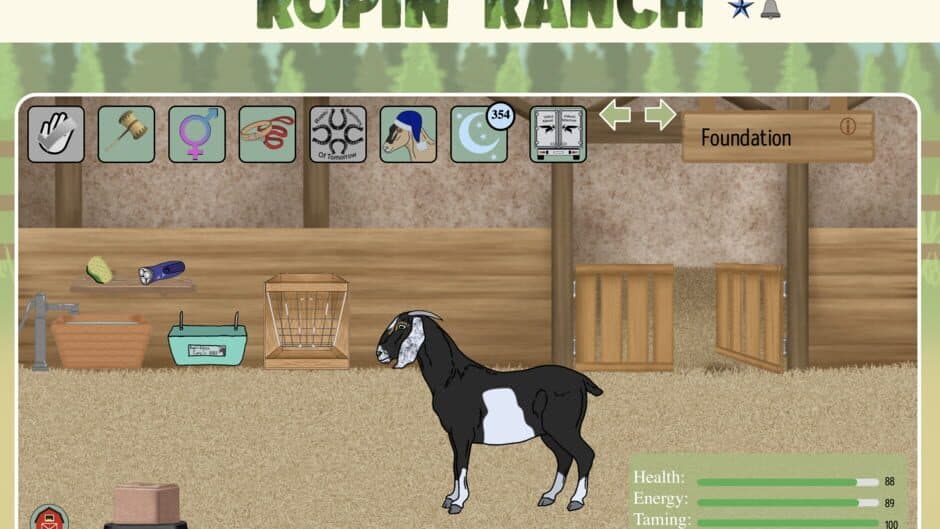 Ropin' Ranch screenshot