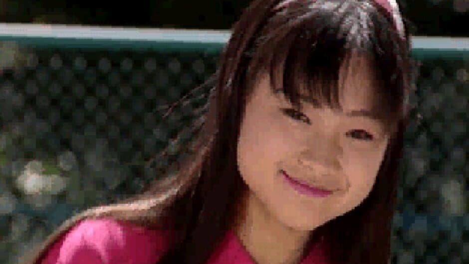 The Yakyuken Special screenshot