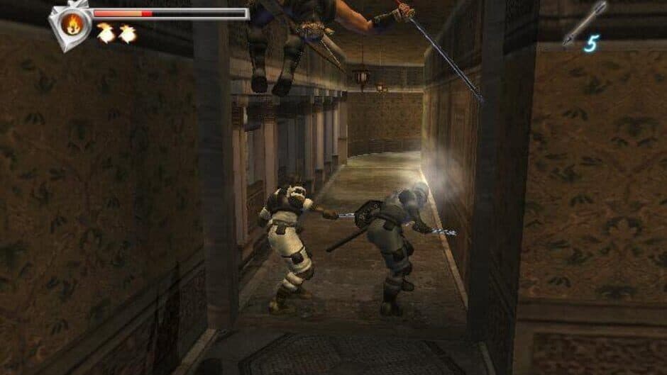 Ninja Gaiden screenshot