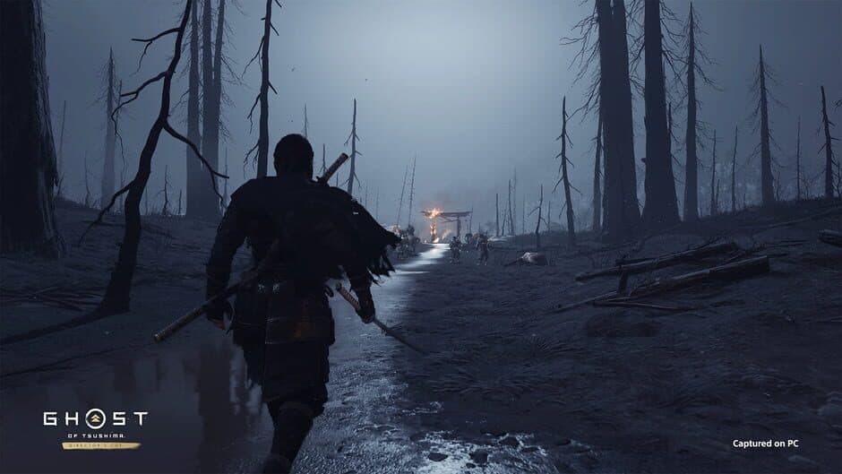 Ghost of Tsushima: Director's Cut screenshot