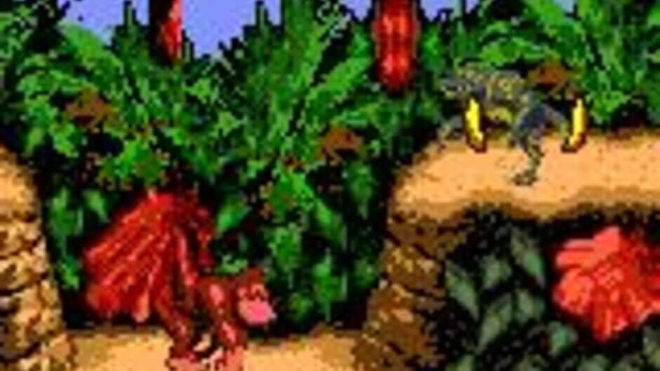 Donkey Kong Country screenshot