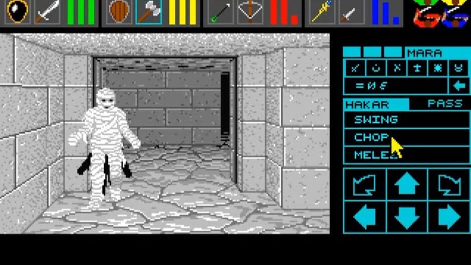 Dungeon Master: Theron's Quest screenshot