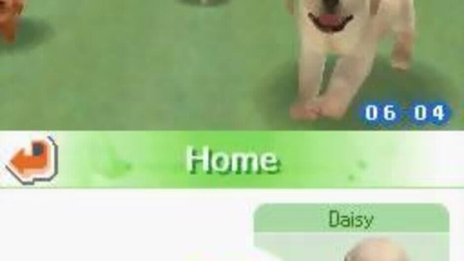 Nintendogs: Chihuahua & Friends screenshot