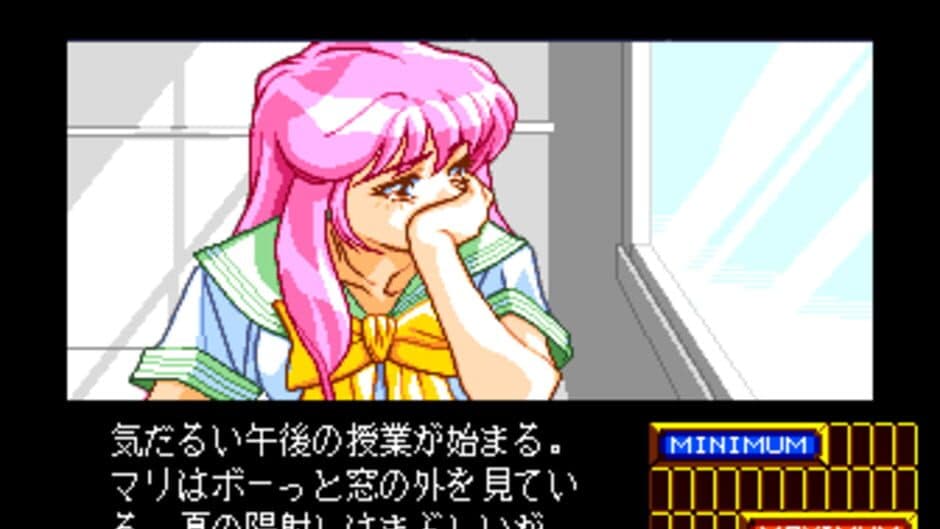 Shinsetsu Shiawase Usagi 2 screenshot