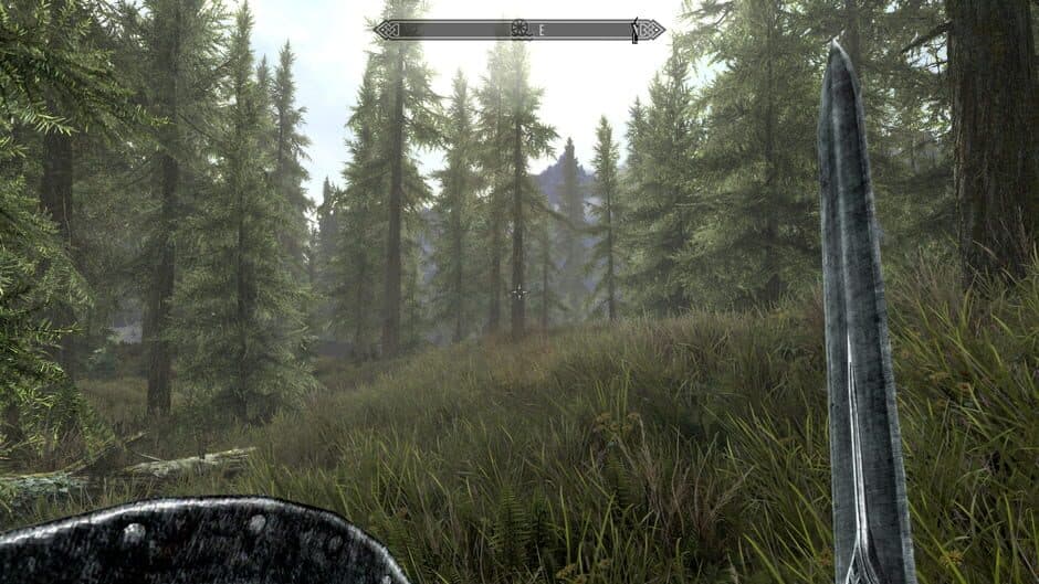 The Elder Scrolls V: Skyrim screenshot