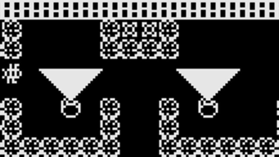 Zoo at Midnight screenshot