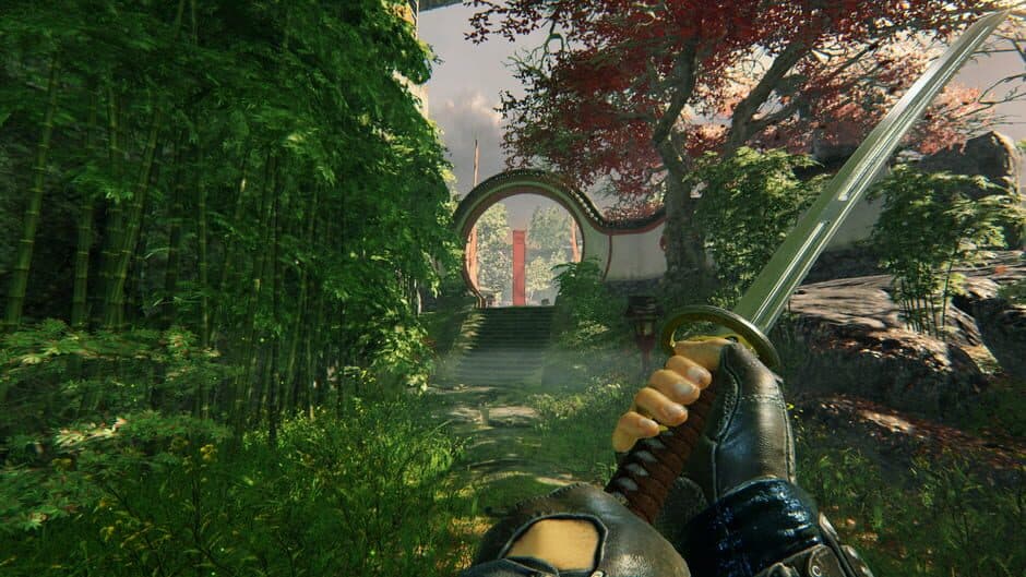 Shadow Warrior screenshot