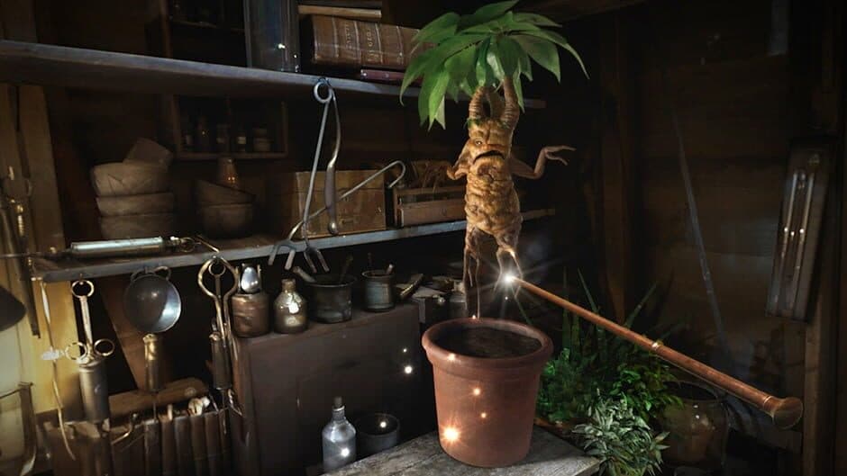 Fantastic Beasts and Where to Find Them: VR Experience screenshot