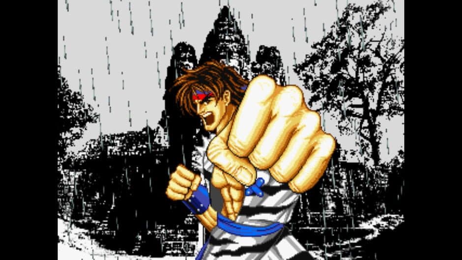 The Eye of Typhoon: Tsunami Edition/Saiki screenshot